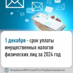 1 декабря - срок уплаты имущественных налогов физических лиц за 2024 год