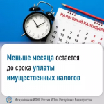 До срока уплаты имущественных налогов остается меньше месяца