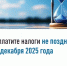 Уплатите налоги не позднее 1 декабря 2025 года - Хайбуллинский район