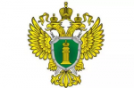 Подписан закон о подтверждении страниц НКО в соцсетях через «Госуслуги»